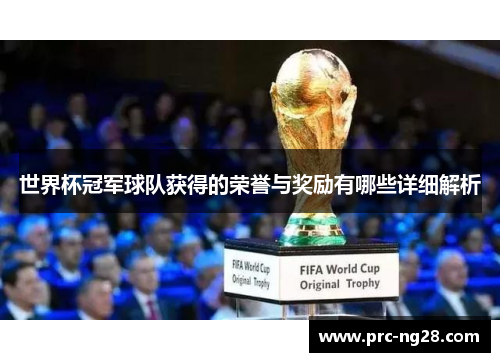 世界杯冠军球队获得的荣誉与奖励有哪些详细解析