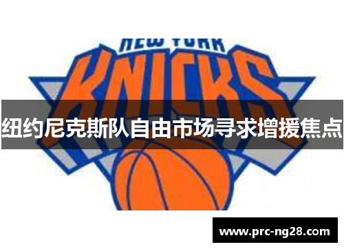 纽约尼克斯队自由市场寻求增援焦点