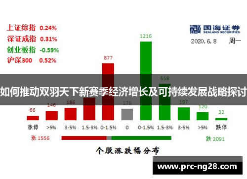 如何推动双羽天下新赛季经济增长及可持续发展战略探讨 如何推动双羽天下新赛季经济增长及可持续发展战略探讨