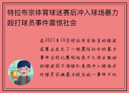 特拉布宗体育球迷赛后冲入球场暴力殴打球员事件震惊社会